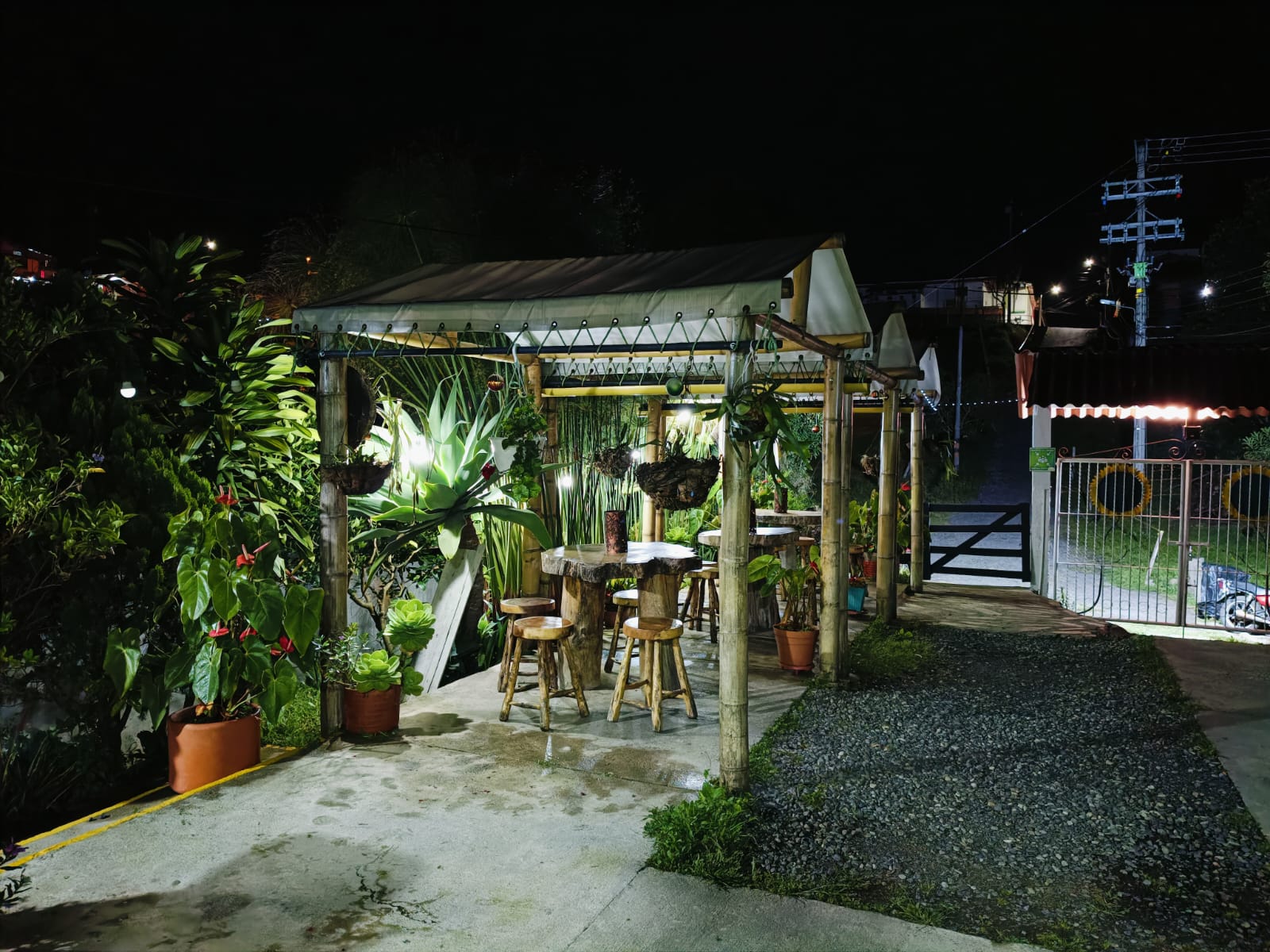 Finca cafetera